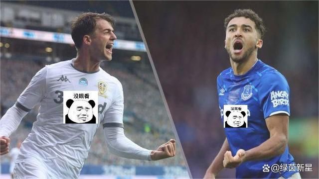 国产小视频在线高清播放